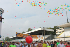 IMG_7208_ac