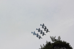 IMG_9020_ac