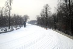 DSCN2797