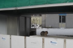 DSCN2849