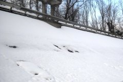 DSCN2889