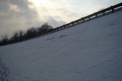 DSCN2894